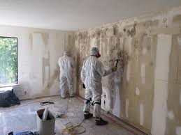 Best Forensic Mold Investigation in Crawford, GA